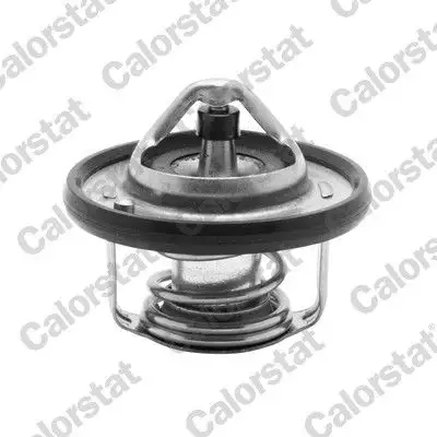 CALORSTAT VERNET TH6949.82J Termostat