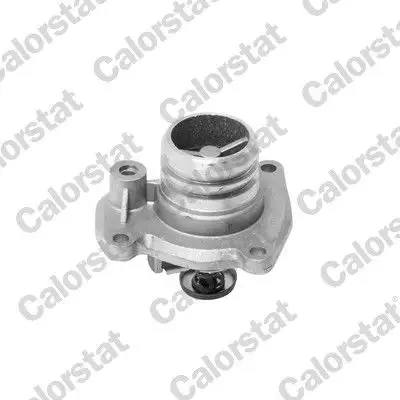 CALORSTAT VERNET TH6951.92J Termostat