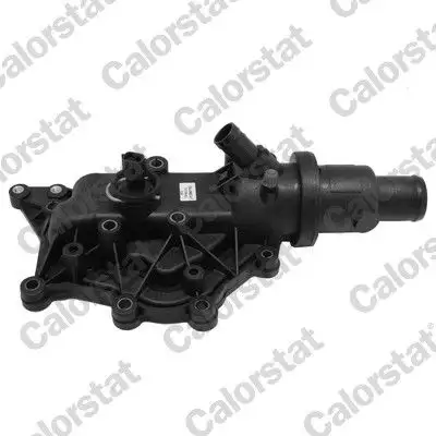 CALORSTAT VERNET TH7159.89J Termostat 8200700092