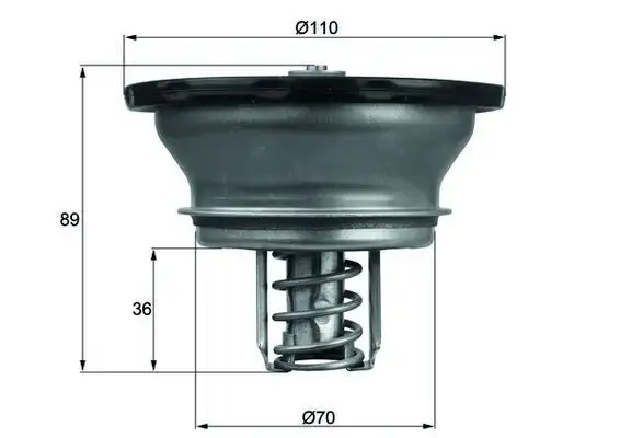 MAHLE THD376 Termostat