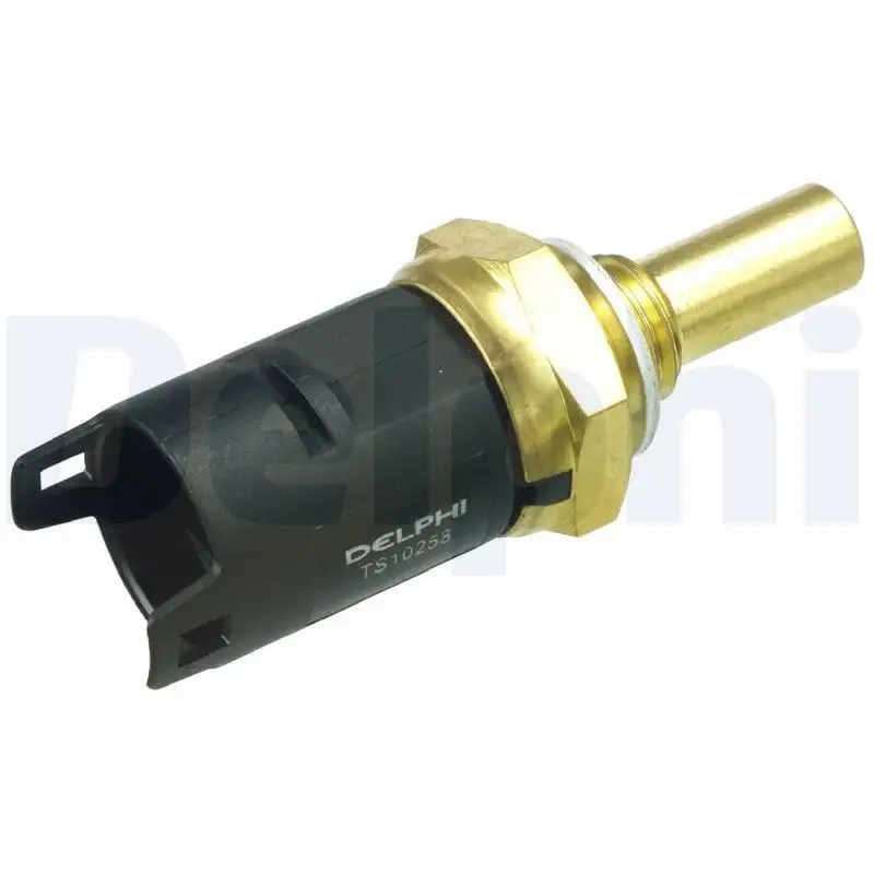 DELPHI TS10258 Hararet Müşiri MEK000020