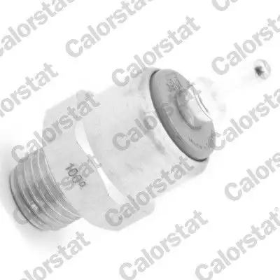 CALORSTAT VERNET TS2897 Fan Müşiri A0065453924