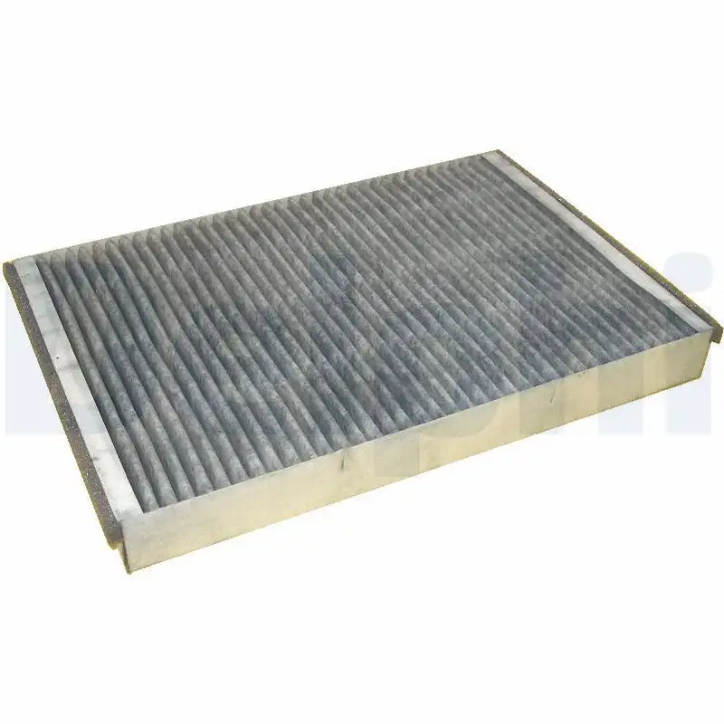 DELPHI TSP0325189C Polen Filtresi (Karbonlu)