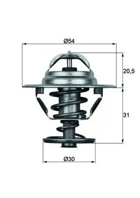 MAHLE TX1076D Termostat