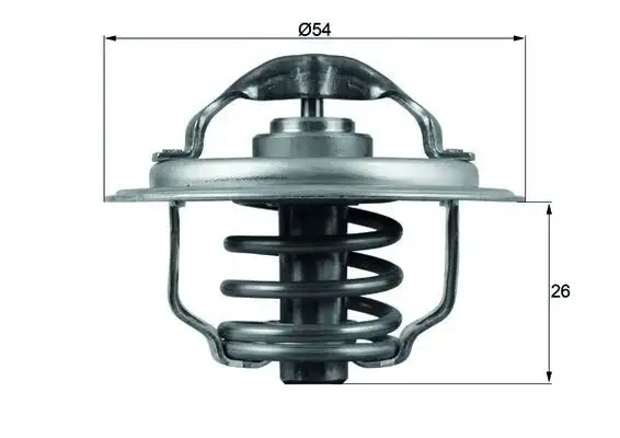 MAHLE TX11187D Termostat 03G121113