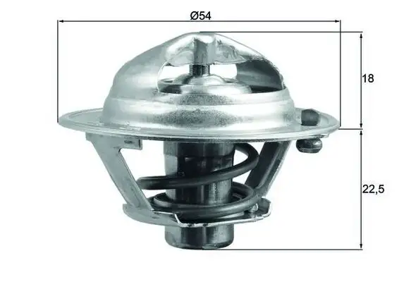 MAHLE TX16685D Termostat 255002A050