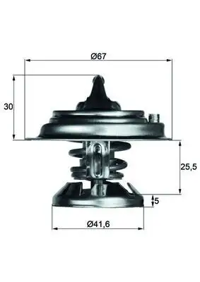 MAHLE TX2975D Termostat A6012000215
