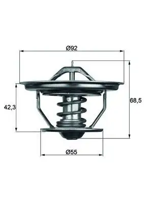 MAHLE TX3579 Termostat
