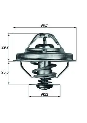 MAHLE TX3880D Termostat