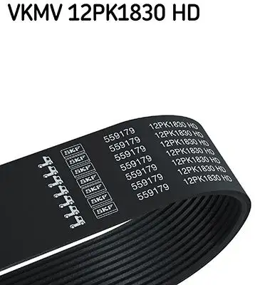 SKF VKMV12PK1830HD Kayış