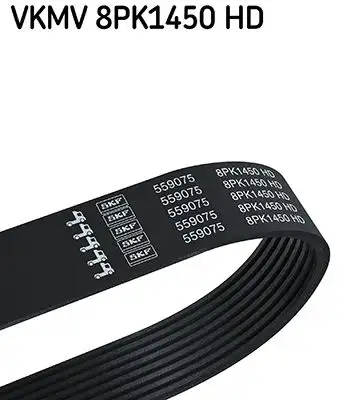 SKF VKMV8PK1450HD (8PK1450) Kayış
