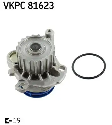 SKF VKPC81623 Devirdaim 038121011AX
