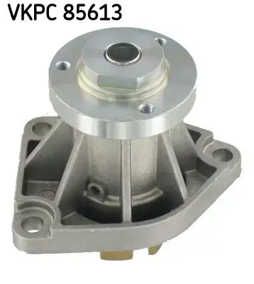 SKF VKPC85613 Devirdaim