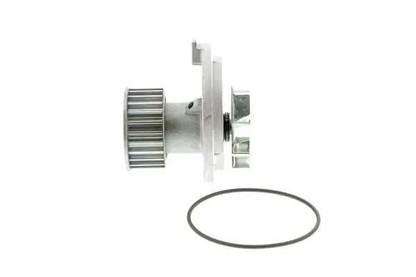 AISIN WO-011 Devirdaim