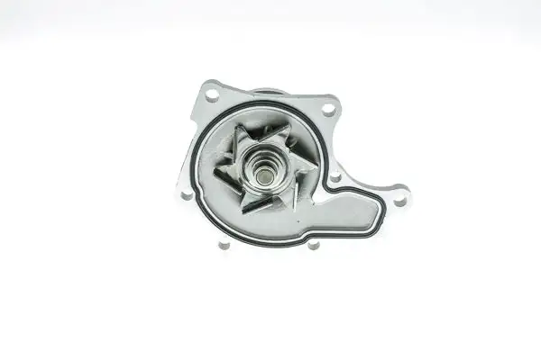 AISIN WPG-001V Devirdaim