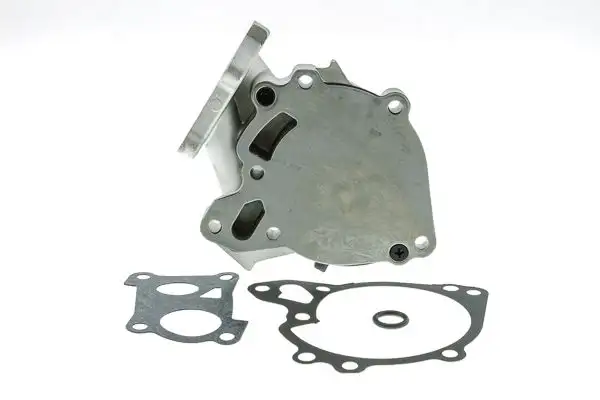 AISIN WPM-029 Devirdaim