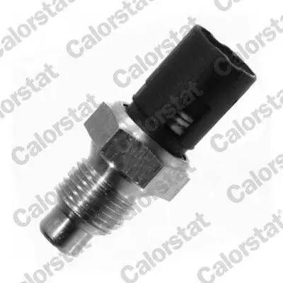 CALORSTAT VERNET WS2508 Hararet Müşiri