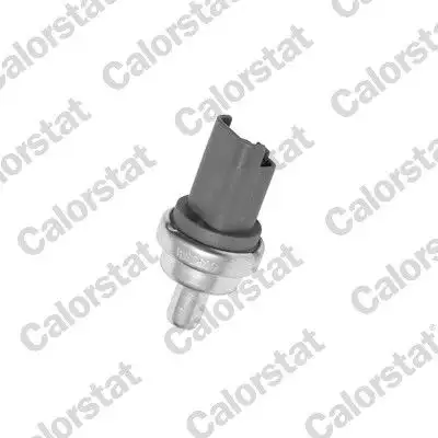 CALORSTAT VERNET WS2609 Hararet Müşiri